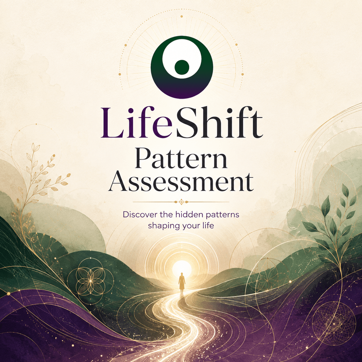 Lifeshift Pattern Assessment - OmniLifeshift 